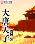 大唐天子顶榜